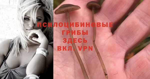 PSILOCYBIN Рославль